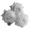 🌹