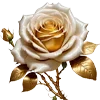🌹