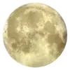 🌕