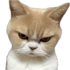 😠