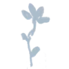 🌸