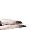 🫥