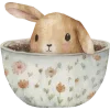 🐰