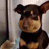 🤩