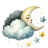 🌜