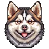 🐶