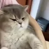 😒