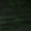 🤩