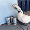 🍺