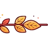 🍂