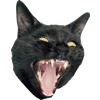 🐈‍⬛