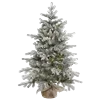 🌲