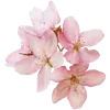 💐