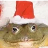 🎅