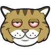 😻