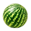 🍉