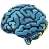 🧠