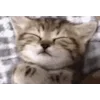 😴