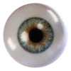👁
