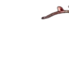 💿