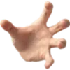 🤚