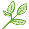 🌿