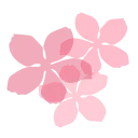 🌸