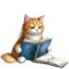 📚