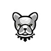 🐶