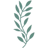 🌿