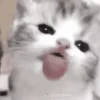 👅