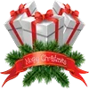 🎁
