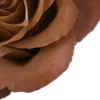 🤩