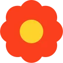 🌺