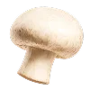 🍄‍🟫