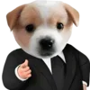 😎