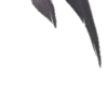 🖤