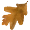 🍂