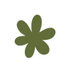 🌼