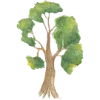 🌳