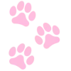 🐾