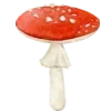 🍄