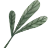 🌱