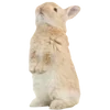 🐰