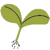 🌱