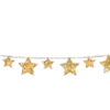 🌟