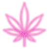 🍁