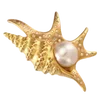 🐚