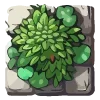 🌱