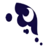 🌙